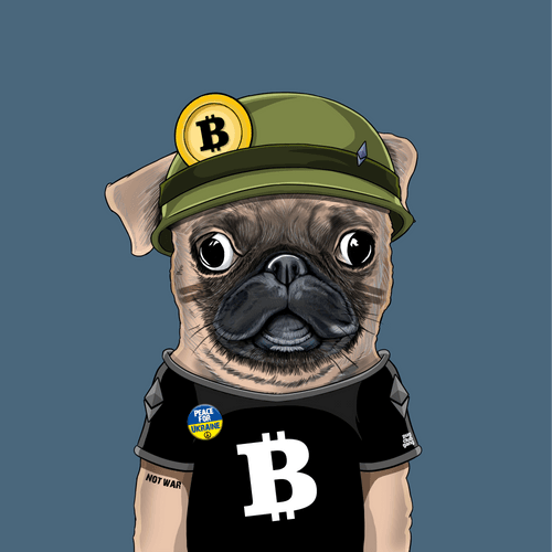 Pug #0027