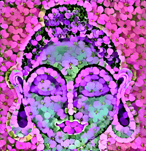 Bloom Buddha