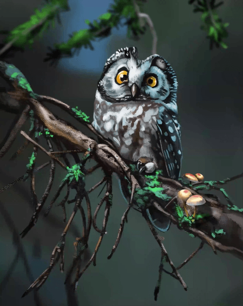 owls protector