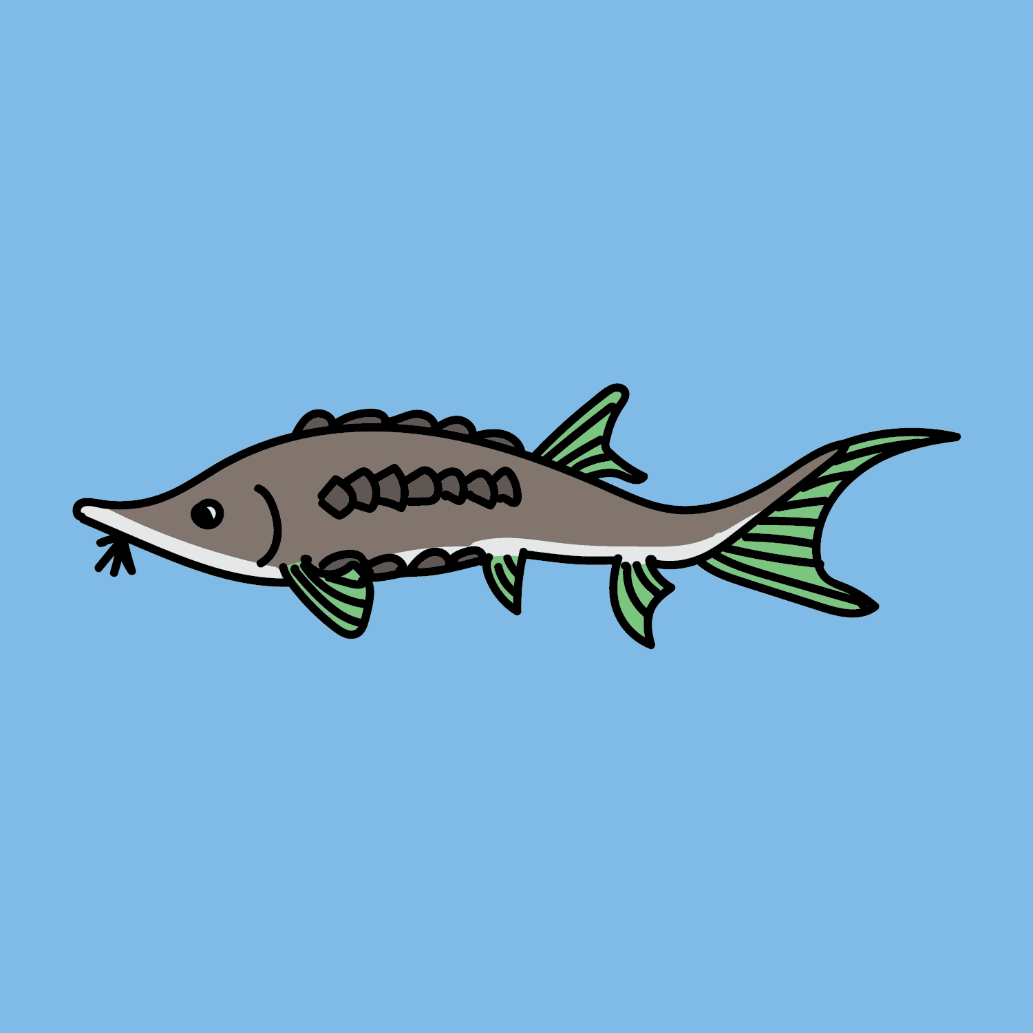 Fish #003
