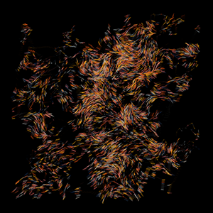 Whispering Wisps