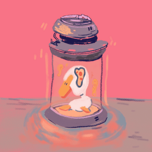 01 PED