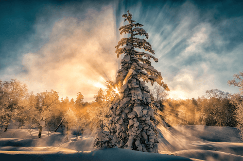 Frigid Rays