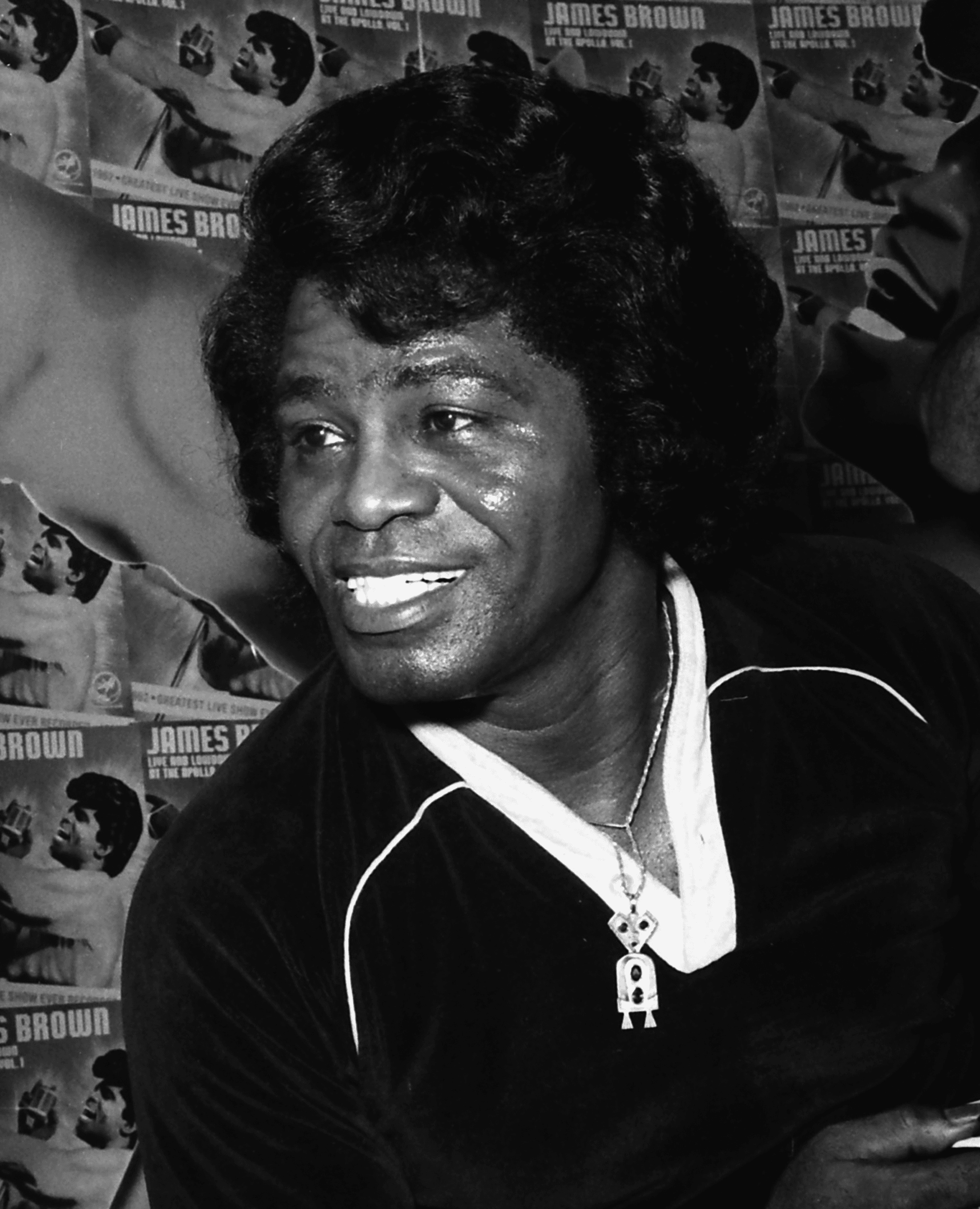 James Brown by Pat Johnson - Curated Collection – Idol Edition