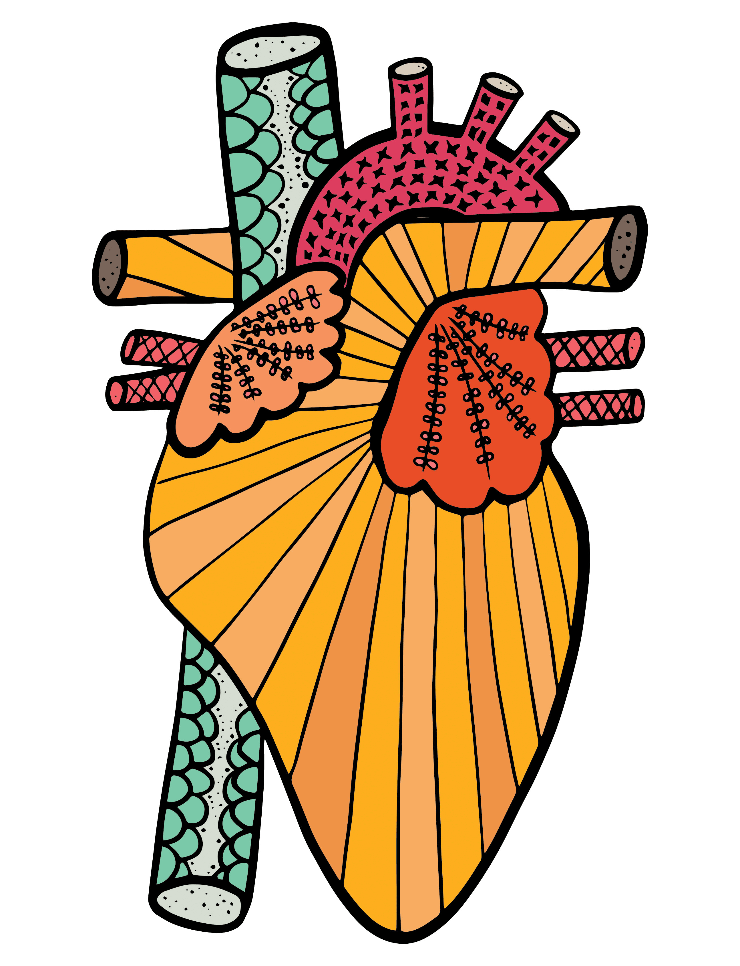 Anatomical Heart #25