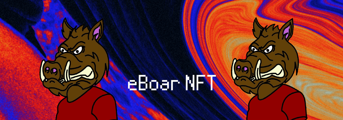 eBoarNFT banner
