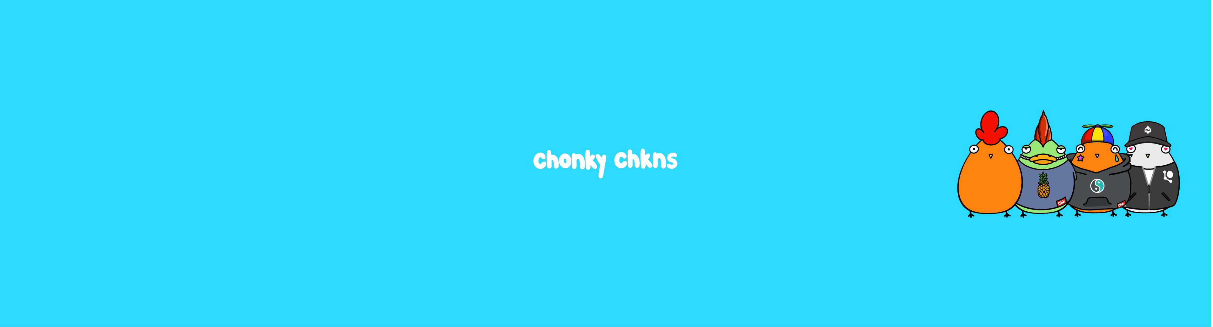 Chonky Chkns Official Collection