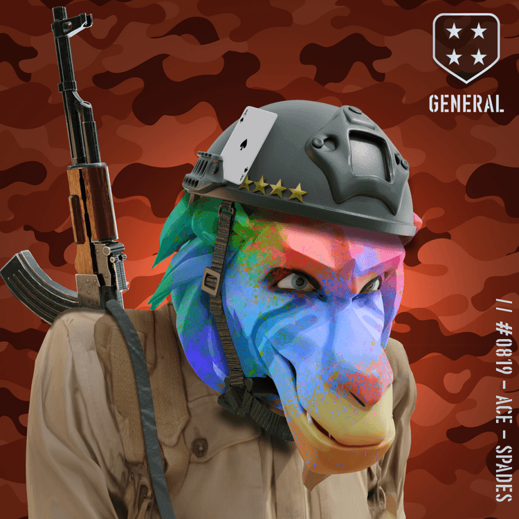 Angry Rainbow General Baboon #819
