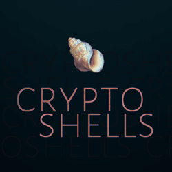 cryptoshells official collection image