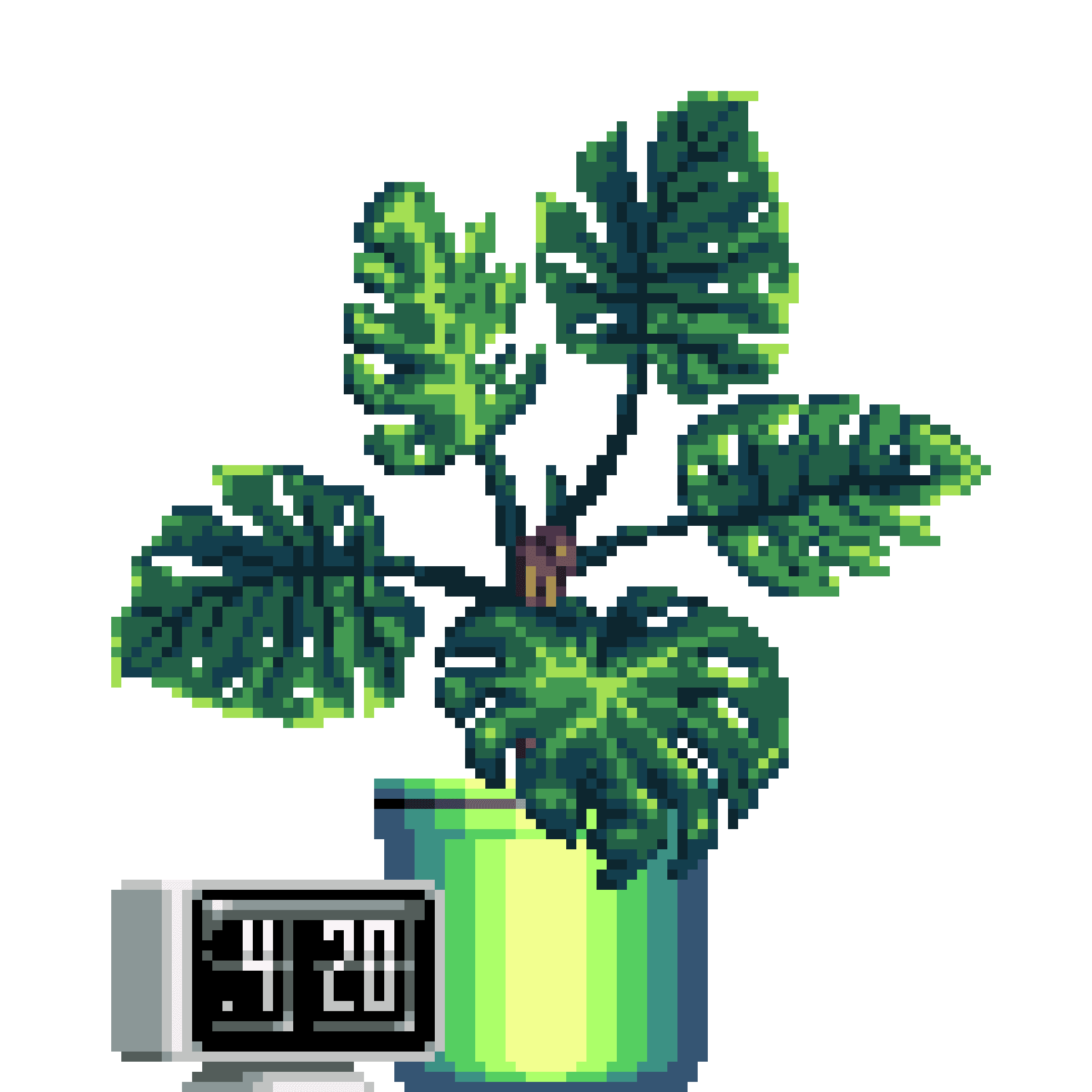 Monstera in Large Pinstripe pot with Flip Clock