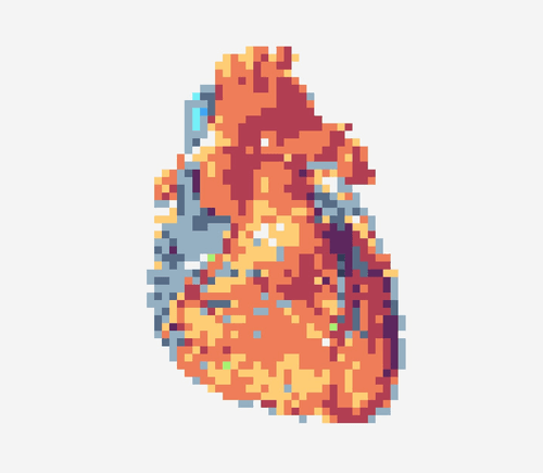 Human Anatomy in Pixels