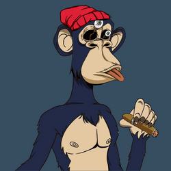 Crazy Bored Ape Club collection image