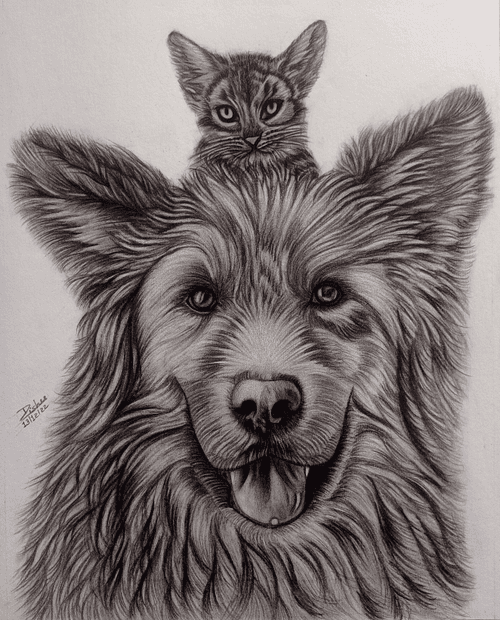 Dog And Kitten Friendship