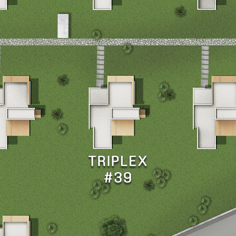Triplex #39
