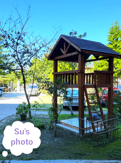 Photos Of suyan's collection image