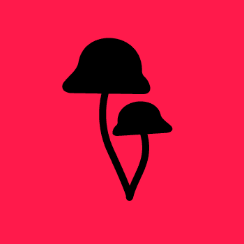 Mushroom Land