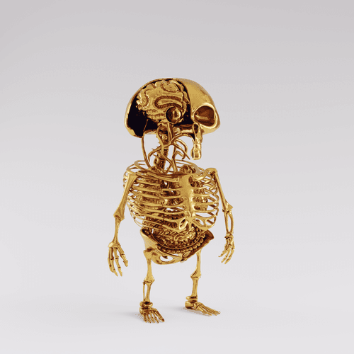 FingerX #517 - Golden Bones