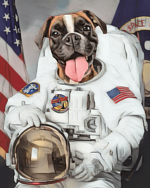 Astronaut Dog