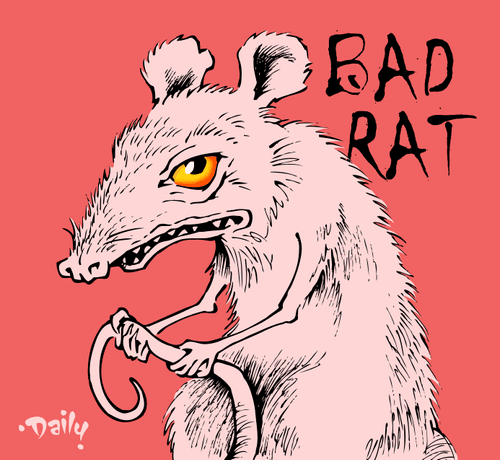 Bad Rat (HEX Color #D26363)