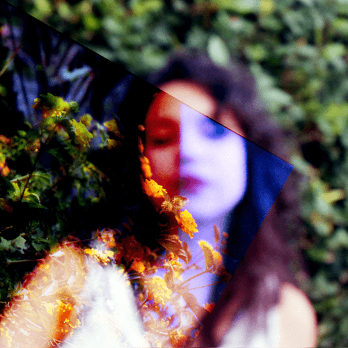Floral Lovescapes by Mayra Rae