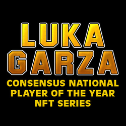 Luka Garza Consensus National Player of the Year NFT Series collection image