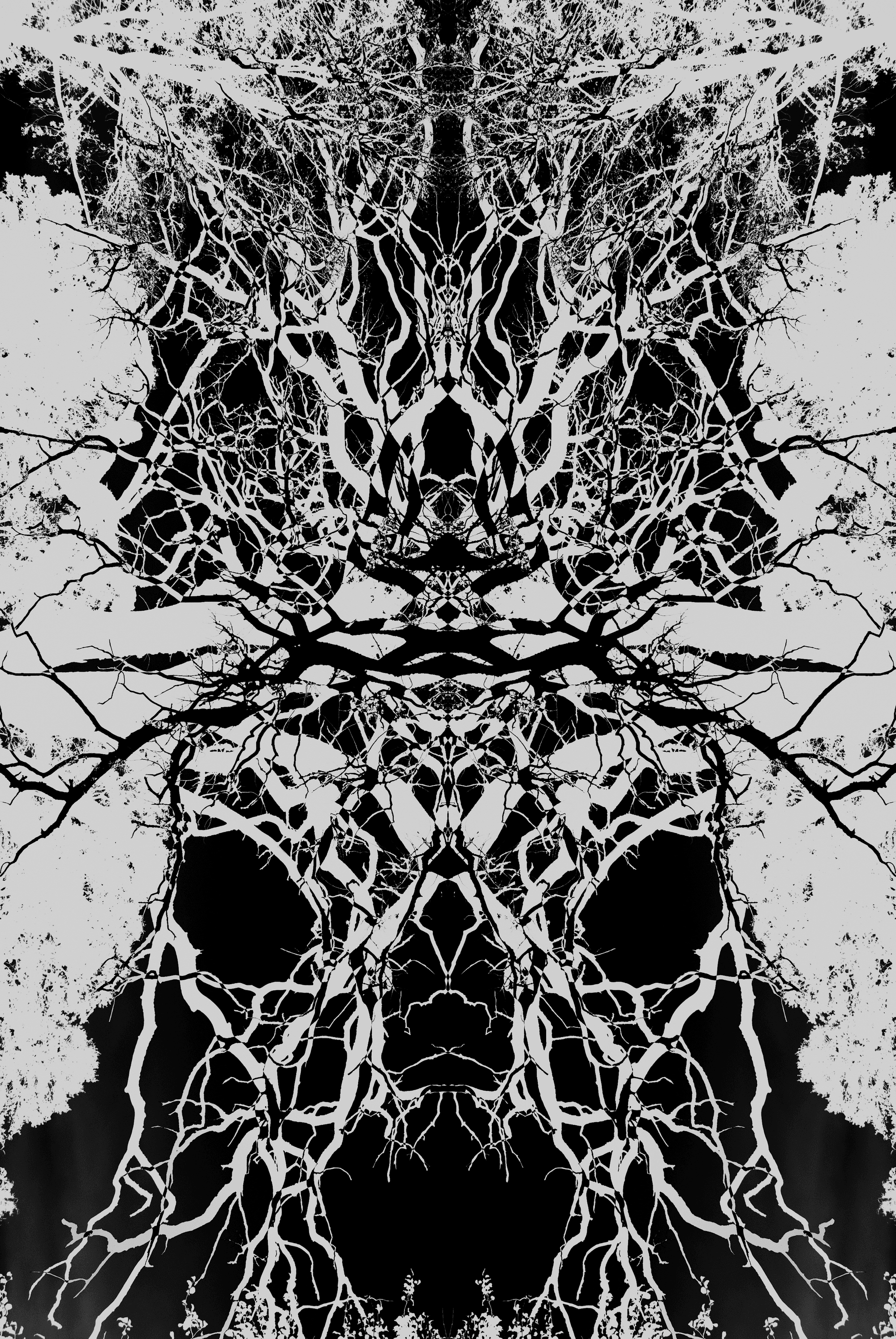 Oakhill 1 Oakhill OpenSea