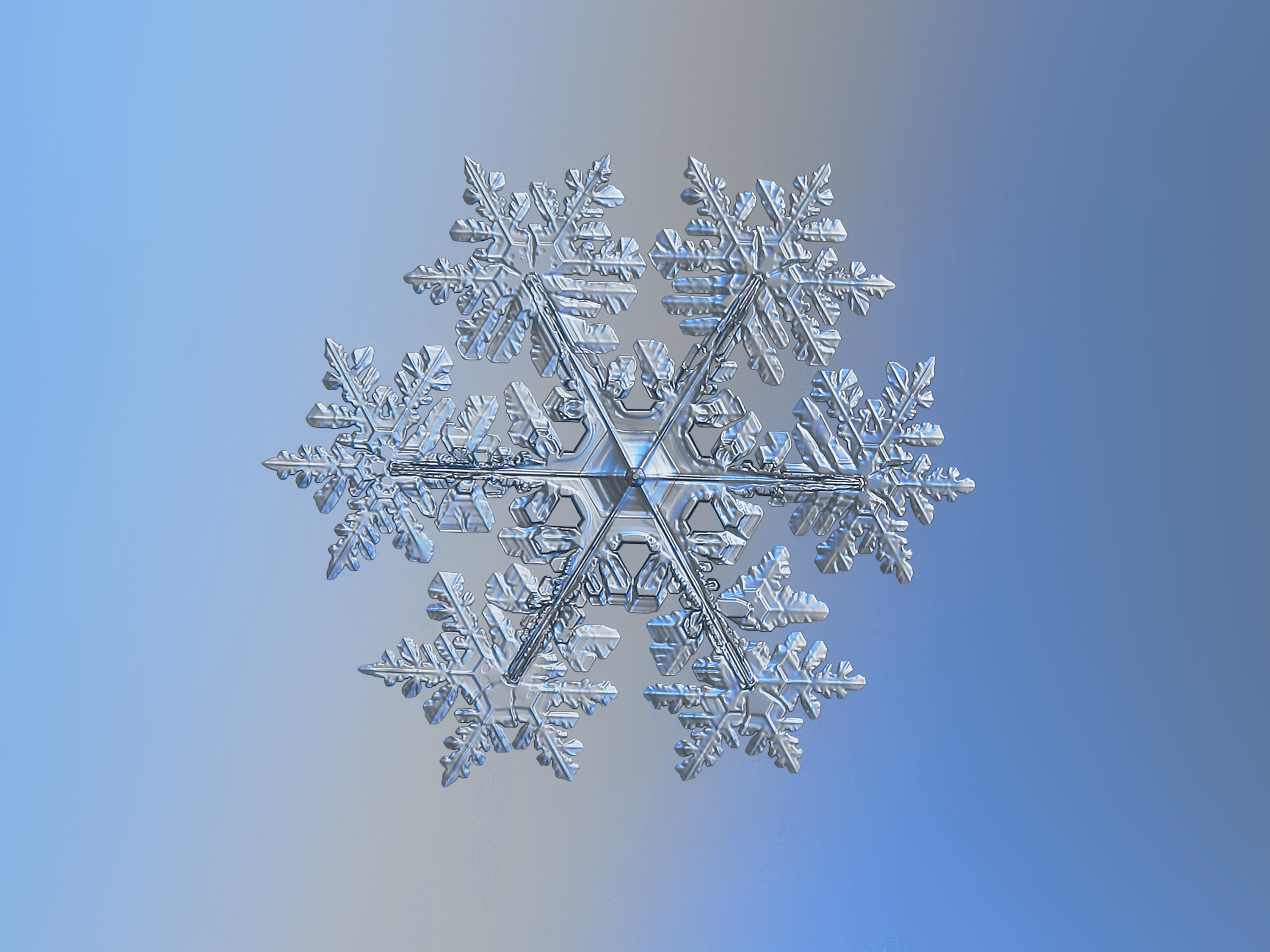 Snowflake 2021-02-11_7728-45