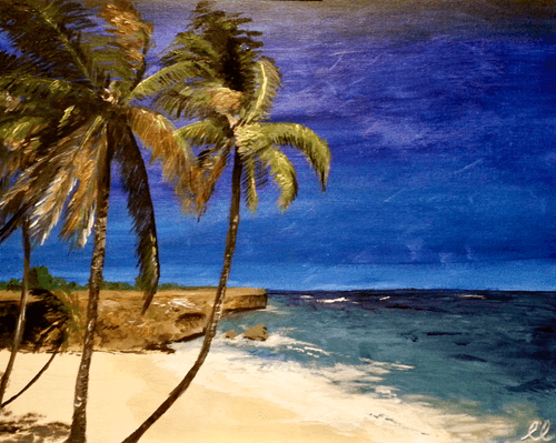 A Beach Somewhere Nice