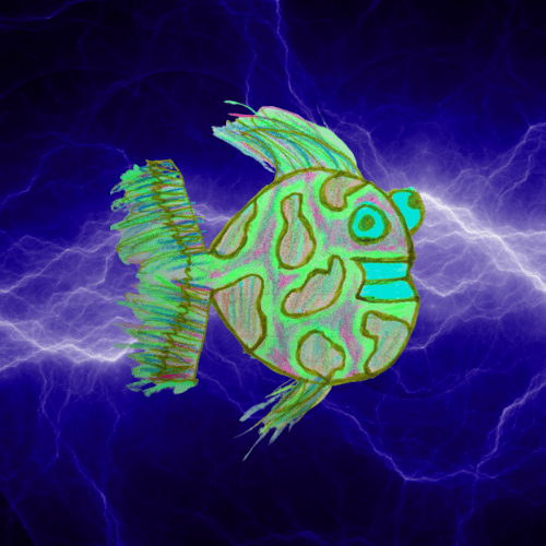 OG Bomerfish #13