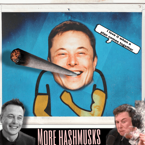 HASHMUSK #133