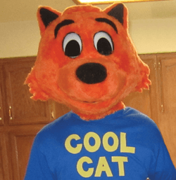 Cool Cat NFTs collection image
