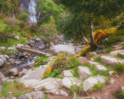 Celtic Woods and Waterfalls collection image