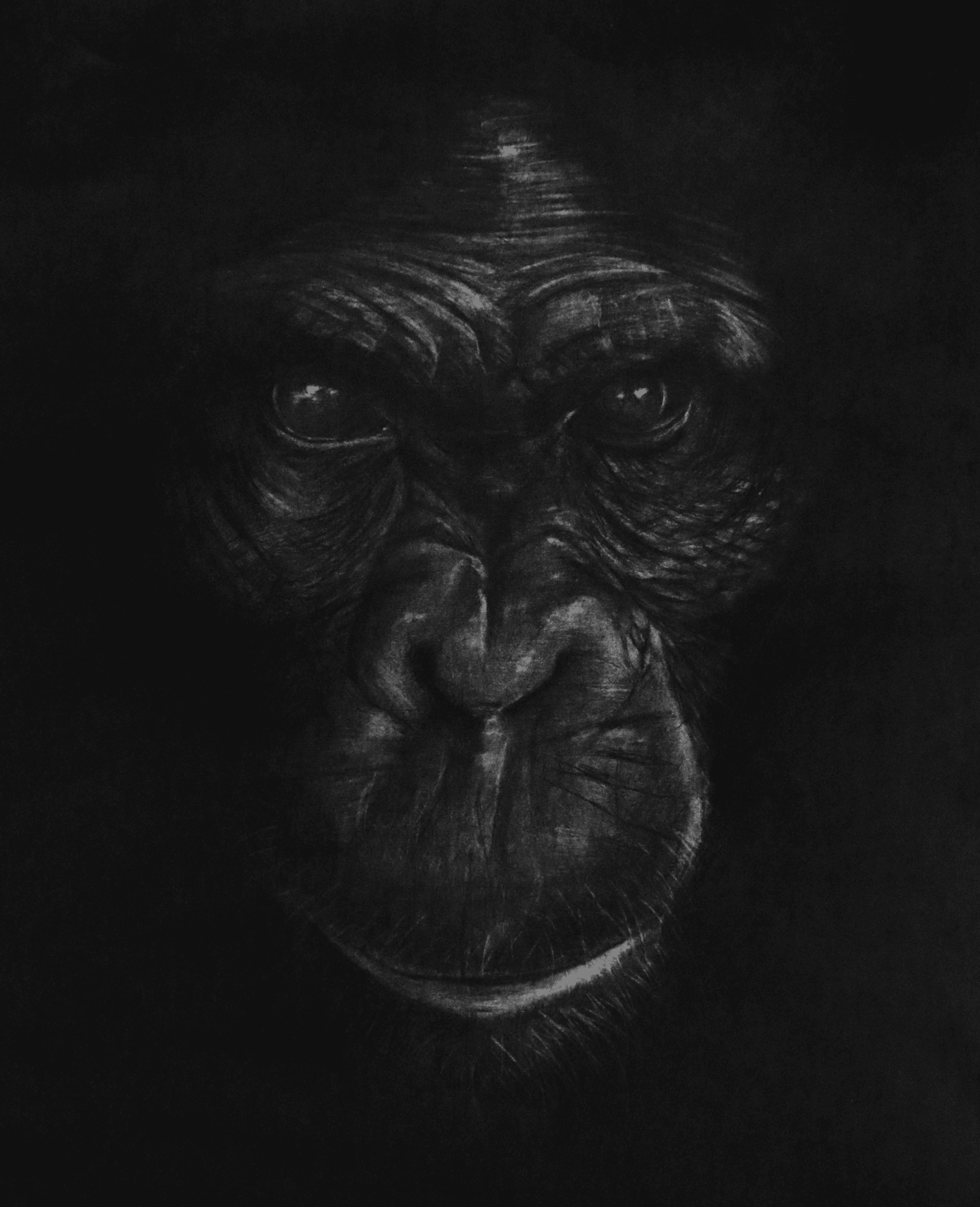 The Great Ape