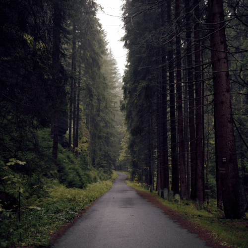 Roads Untraveled