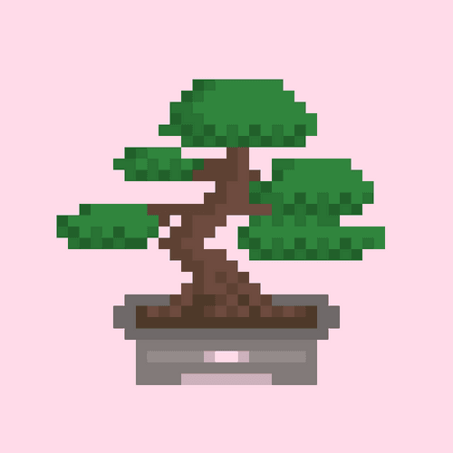 Bonsai #011