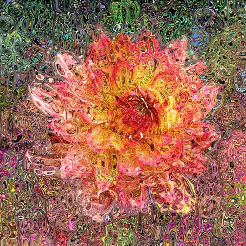 Flower Distortion