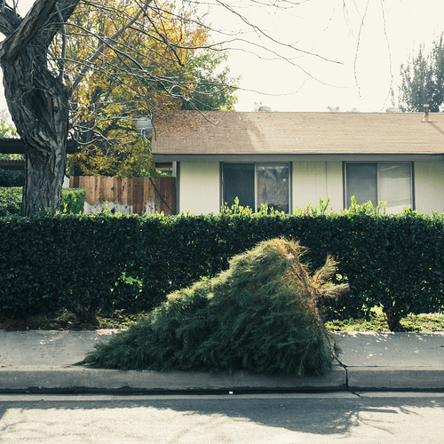 The Week After Christmas