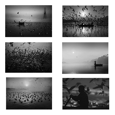 Yamuna Ghat - The Magic Of Seagulls