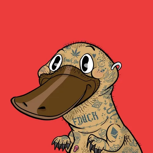 FDUCK #006