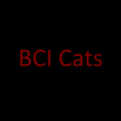 BCI Cats collection image
