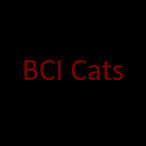 BCI Cats