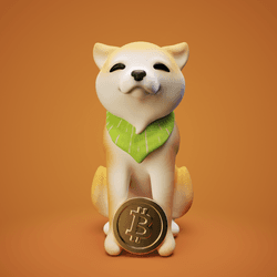 The CryptoDogs Collection collection image