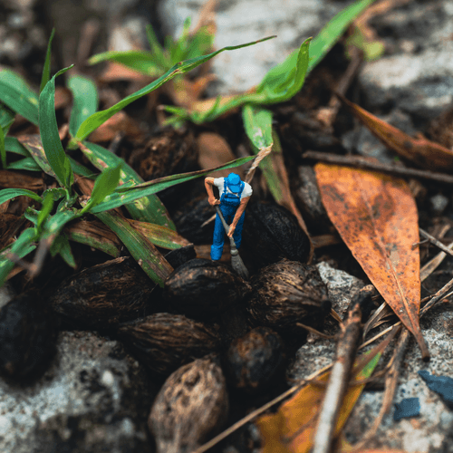 My Tiny Friends #6