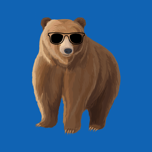 Bear O Bears