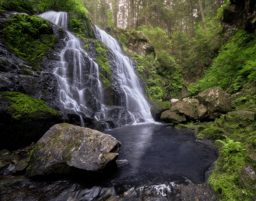 #8 - The Swimming Hole