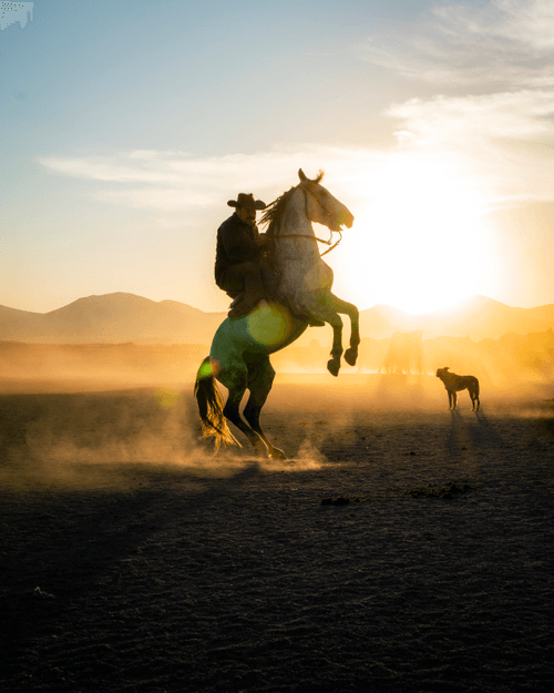 Cowboys of The Middle East.