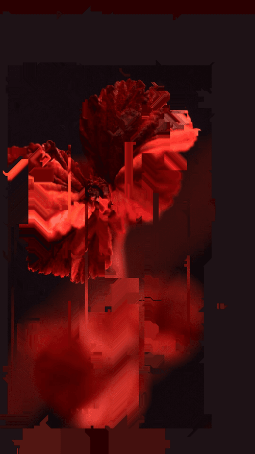 Traces 6