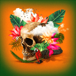 SKULL by GRKMDRL collection image