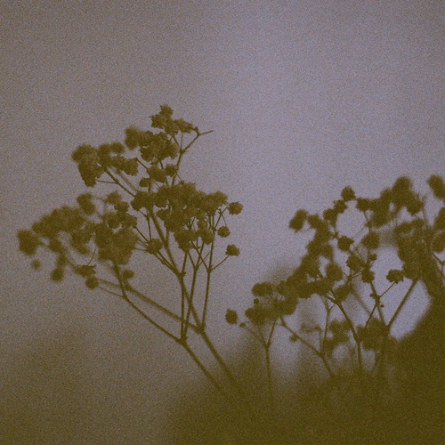 Over Exposed - poetic photography
