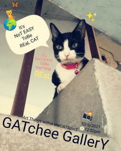 Feed The GATchee collection image